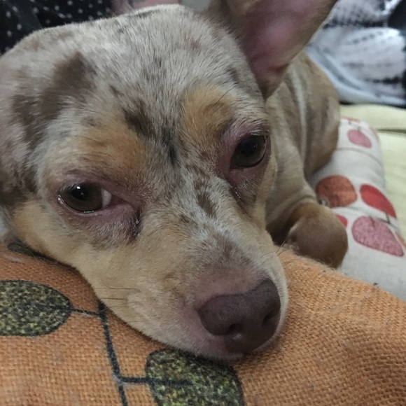 Meet your Posher, Janet - Picture 2 of 3